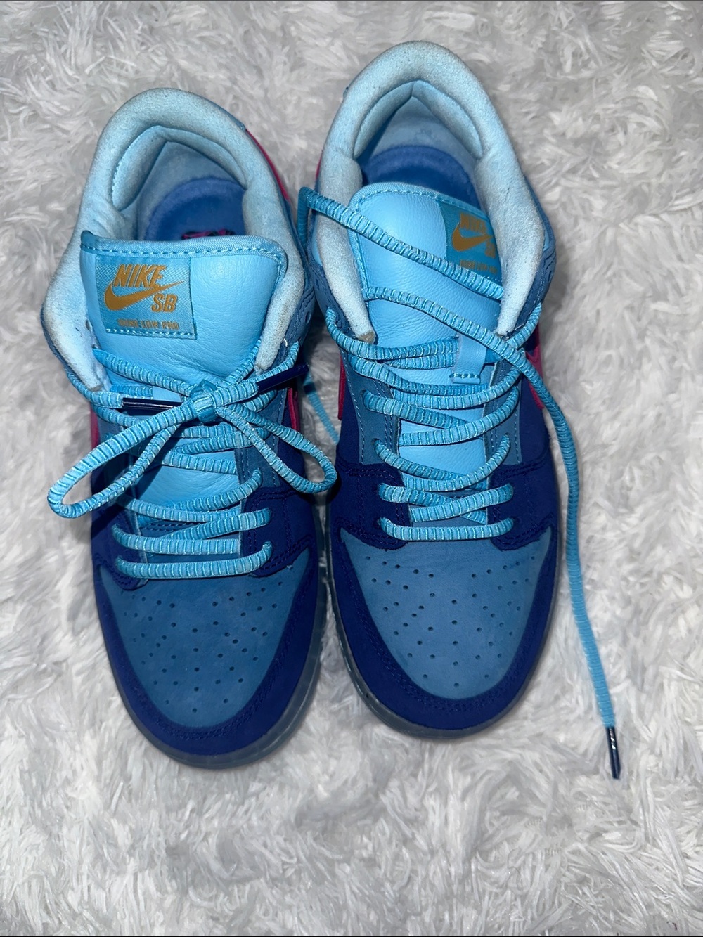 Nike Men Blue Two-Tone Skate Sneakers